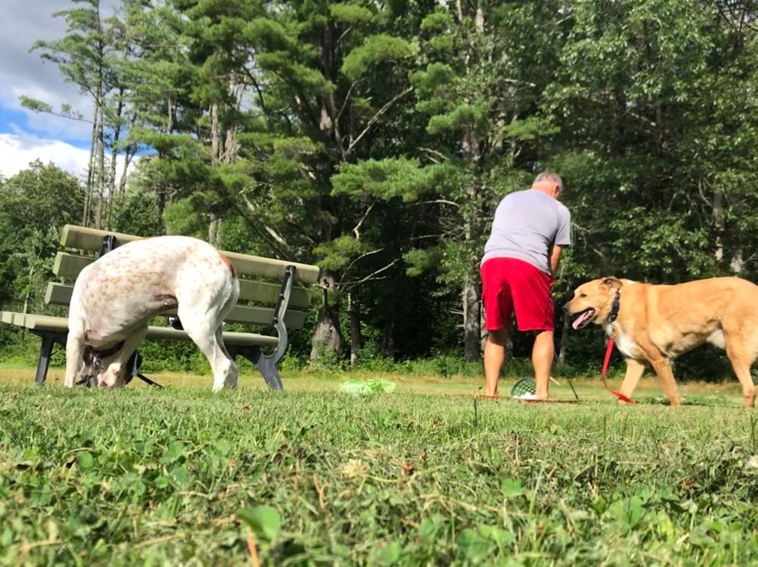 The Old Saco Inn主图