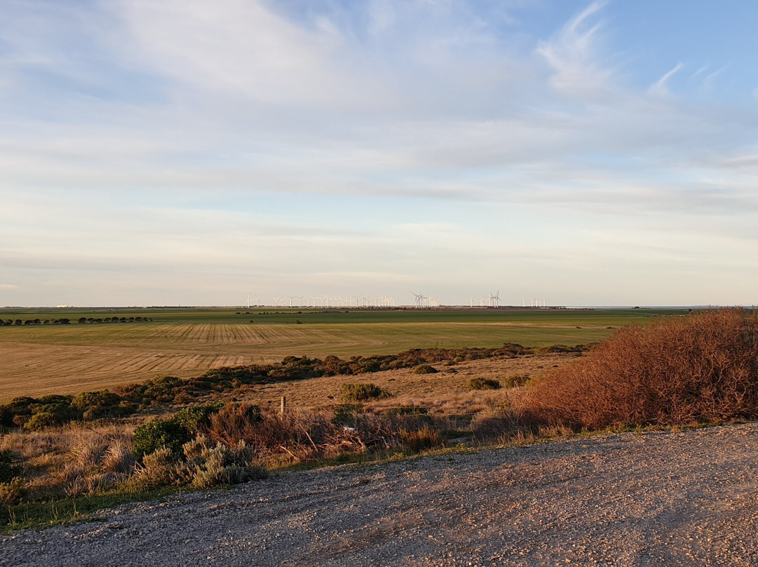 Troubridge Hill Lighthouse-Edithburgh必去景点