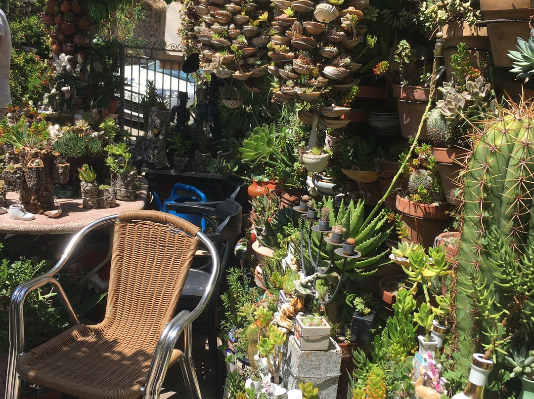 La Casa de los Cactus-Hervas必去景点