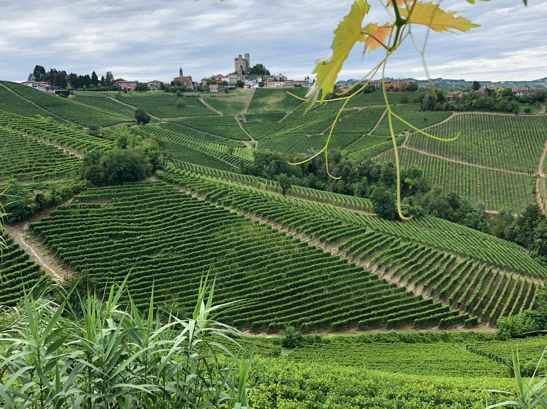 Agriturismo I Grappoli主图