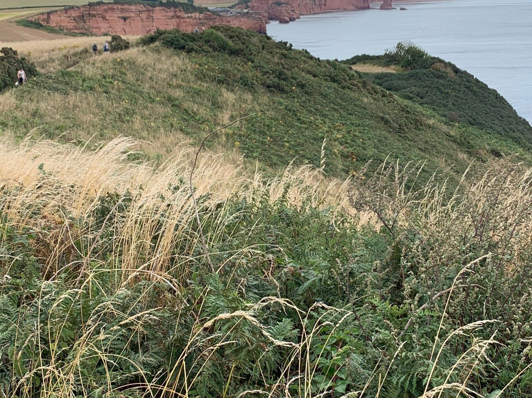 Stoneborough House Bed and Breakfast主图