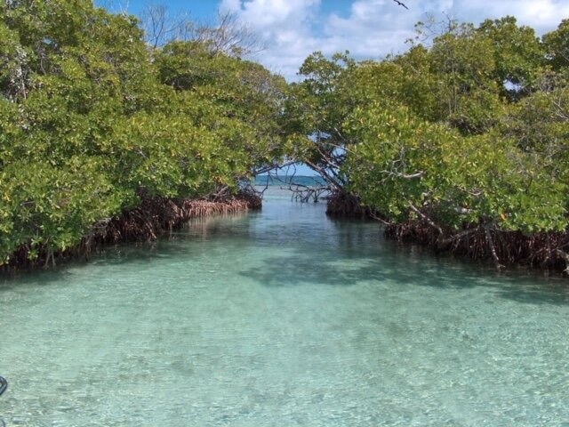 Cayo Enrique景点图片