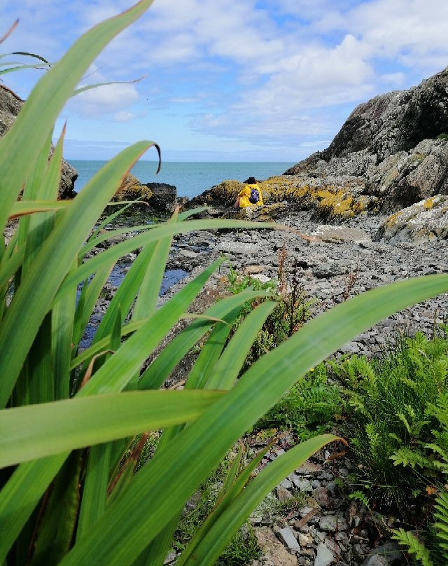 Anglesey Coastal Path景点图片