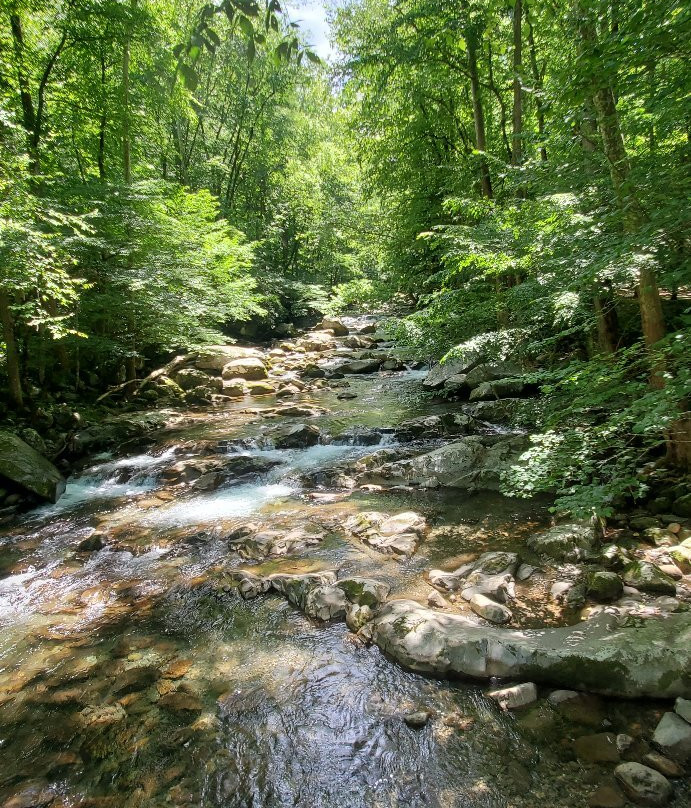 Midnight Hole Falls-大雾山国家公园必去景点