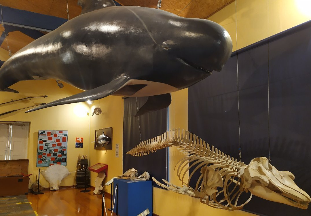 Museo de Historia Natural-费罗尔必去景点