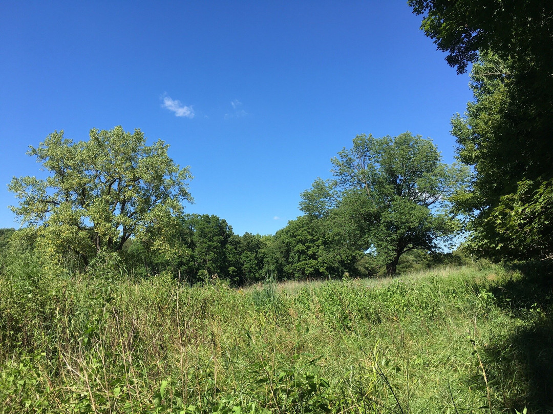 Eagle Creek Park景点图片