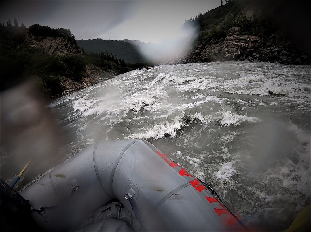 Denali Raft Adventures景点图片