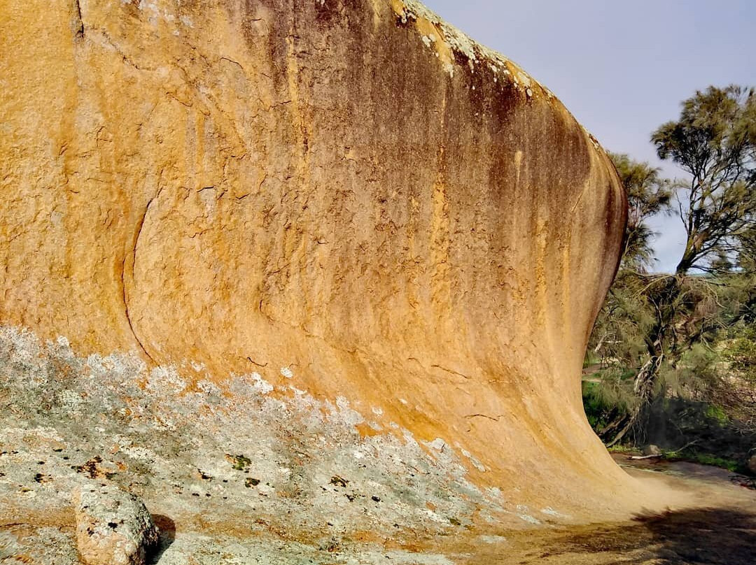 Gawler Ranges Motel & Caravan Park主图