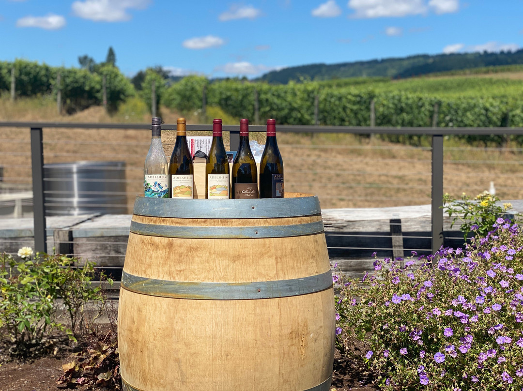 Adelsheim Vineyard景点图片