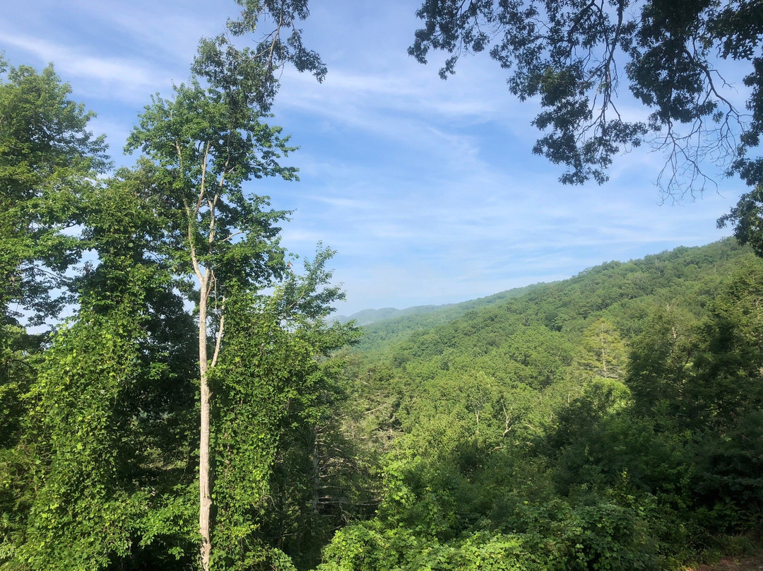 Pine Mountain State Resort Park - Lodging主图