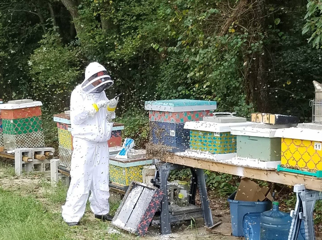 BayBees Honey, LLC-Whaleyville必去景点
