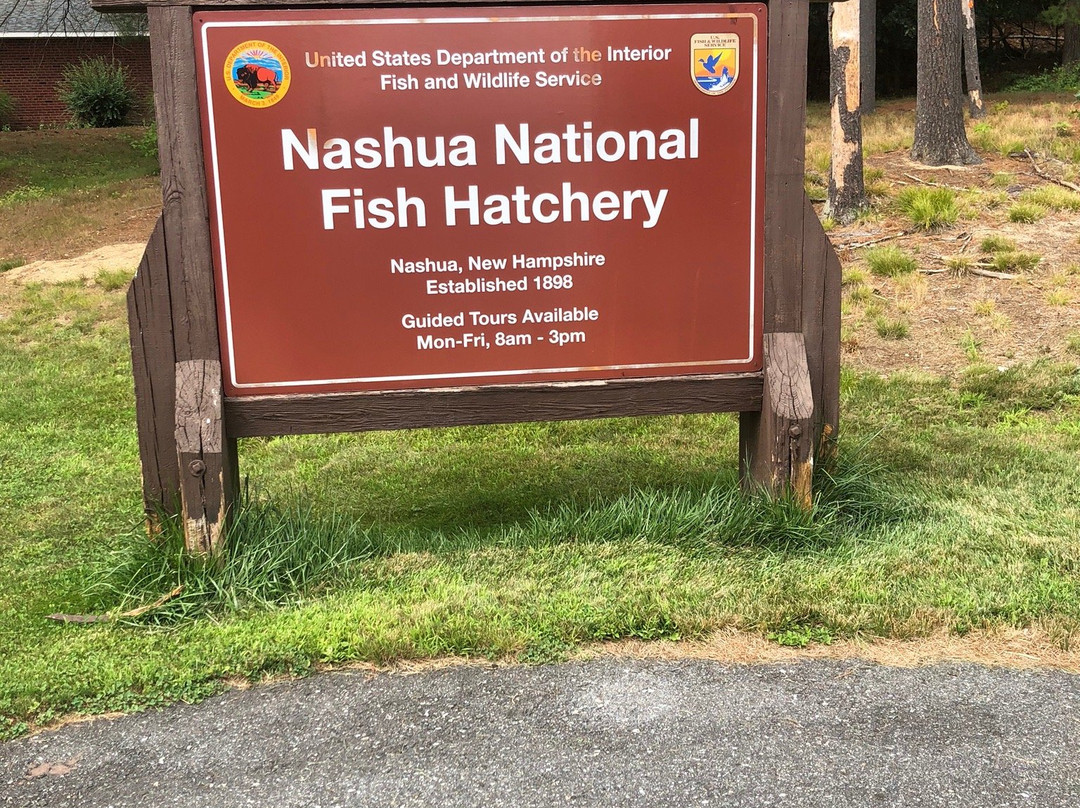 Nashua National Fish Hatchery景点图片