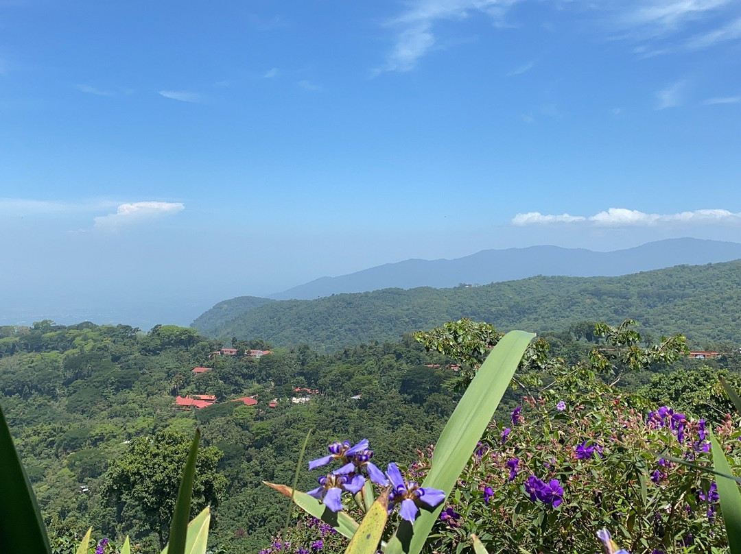 Finca Hamburgo La Ruta del Cafe主图
