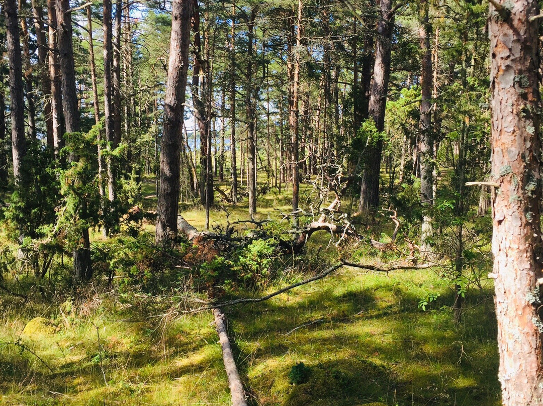 Naturum Trollskogen-Byxelkrok必去景点