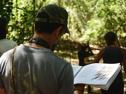 Amar Aves: Birdwatching and Mayan culture