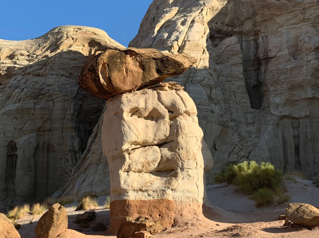 The Toadstools-比格沃特必去景点