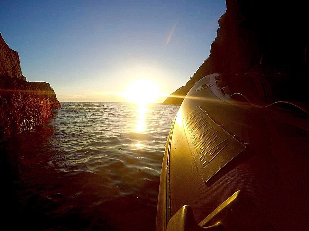 Batucada Turismo Ilhabela-伊利亚贝拉必去景点