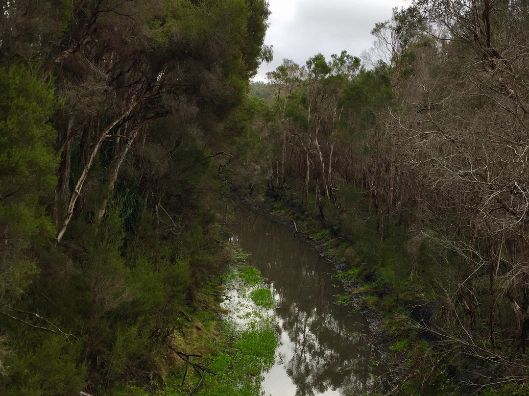 Wetlands Walk景点图片