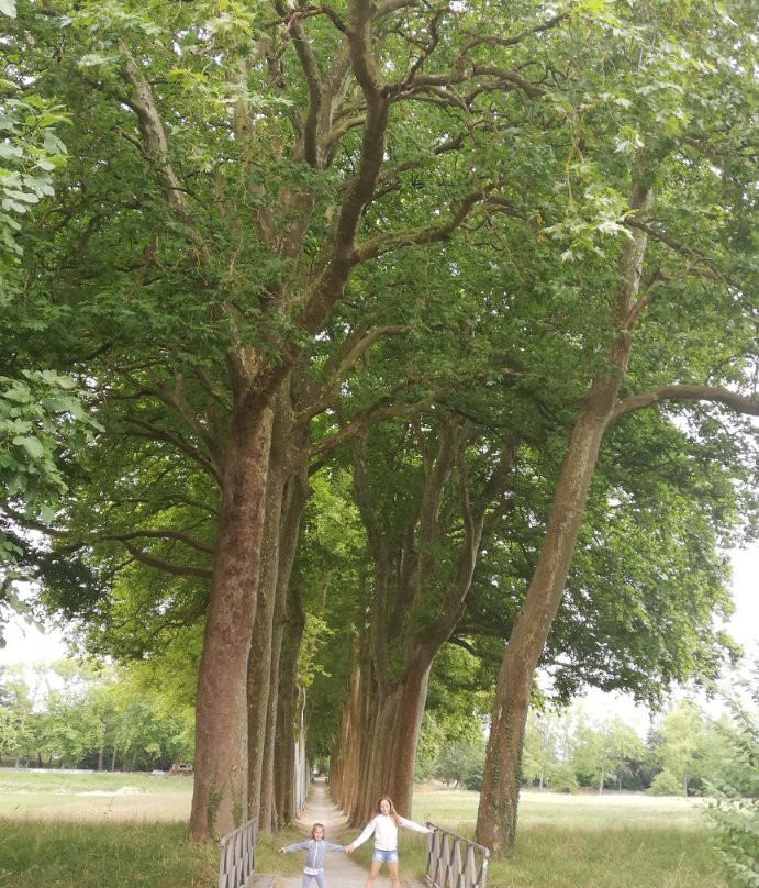 l'Écluse de l'Océan-Montferrand必去景点