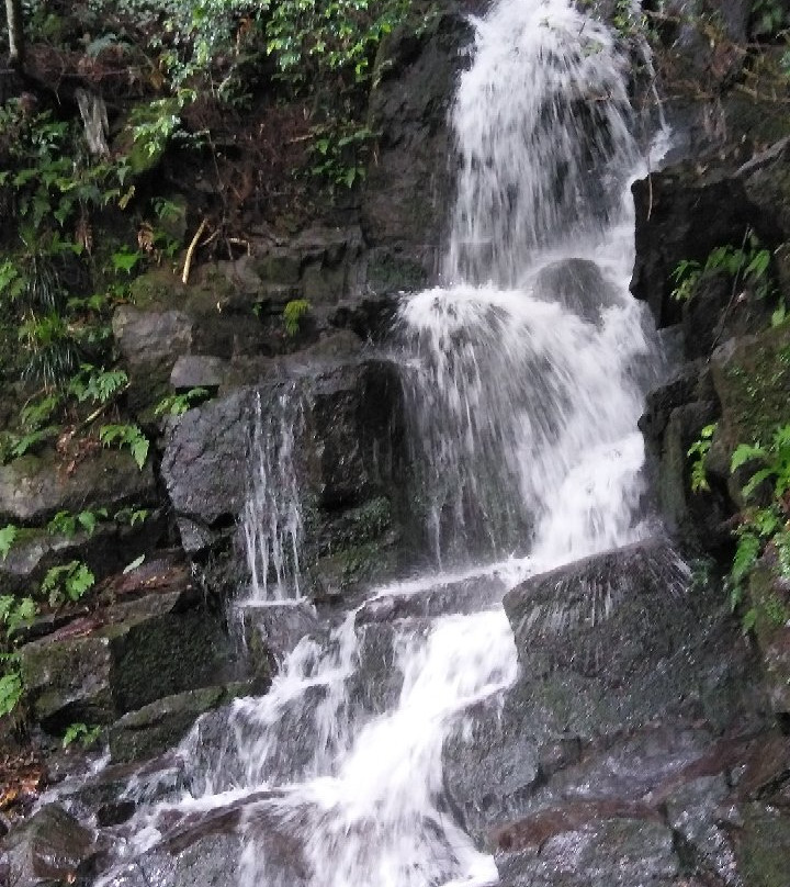 Banjo Falls-伊豆市必去景点