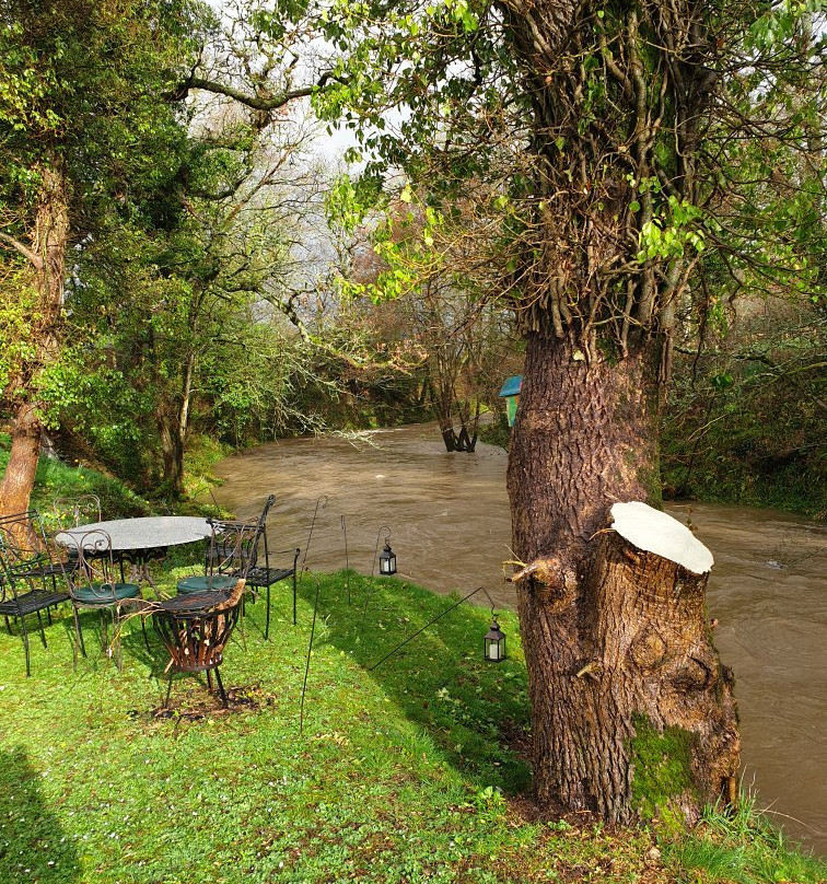 The Old Mill Bed and Breakfast Jacobstowe主图