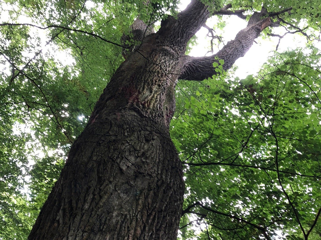 Steinfurter Bagno-Steinfurt必去景点
