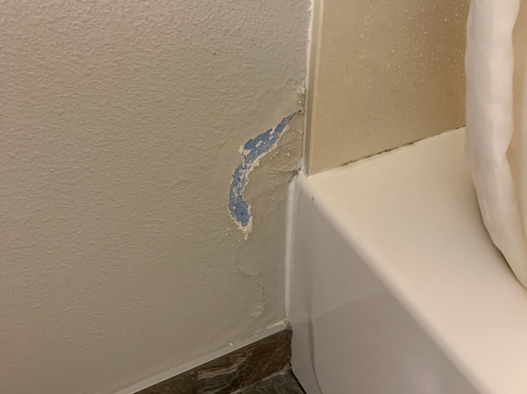 Best Western Ramkota Hotel主图