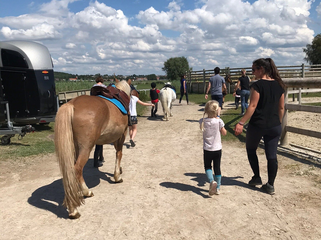 Equestrian Center Touquet Paris-Plage景点图片