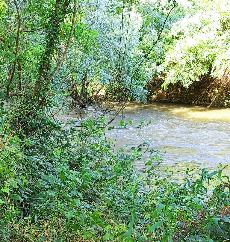 Parco Regionale Della Valle Del Lambro-Triuggio必去景点