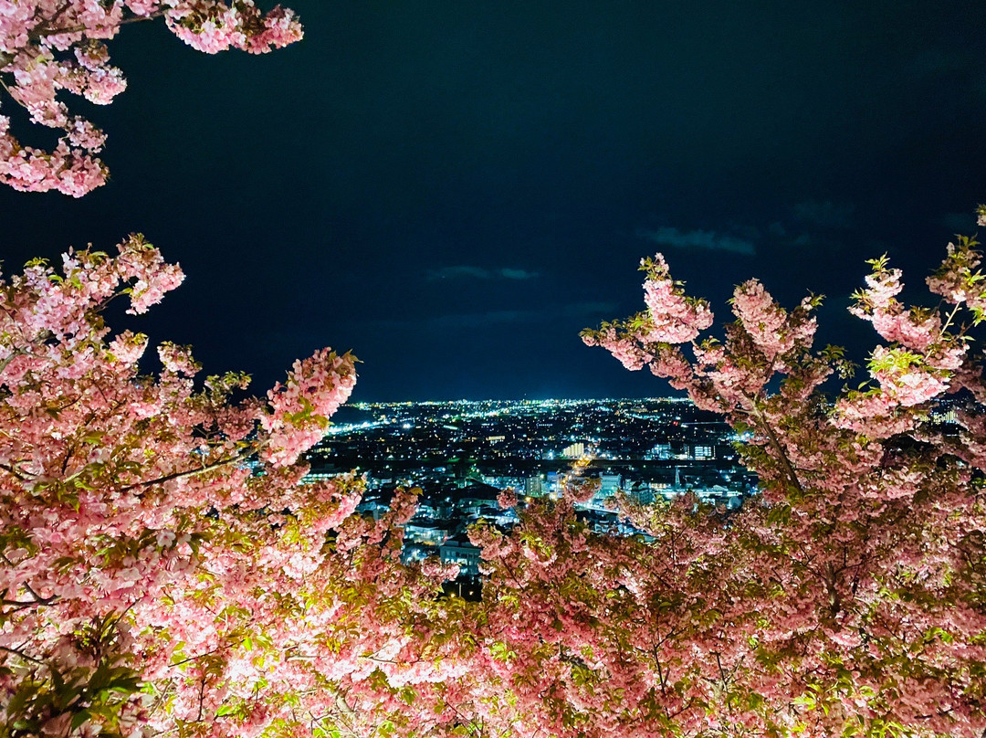 Matsuda Herb Garden-松田町必去景点