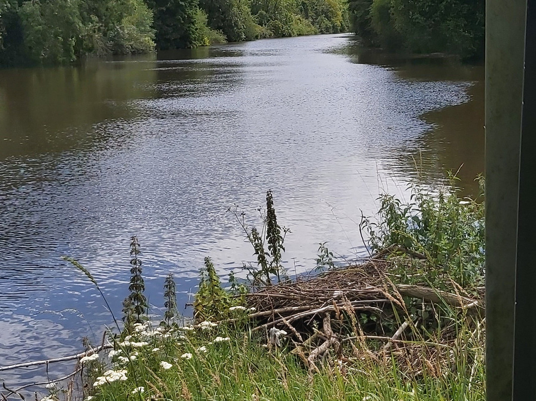 Sprotborough Canalside景点图片
