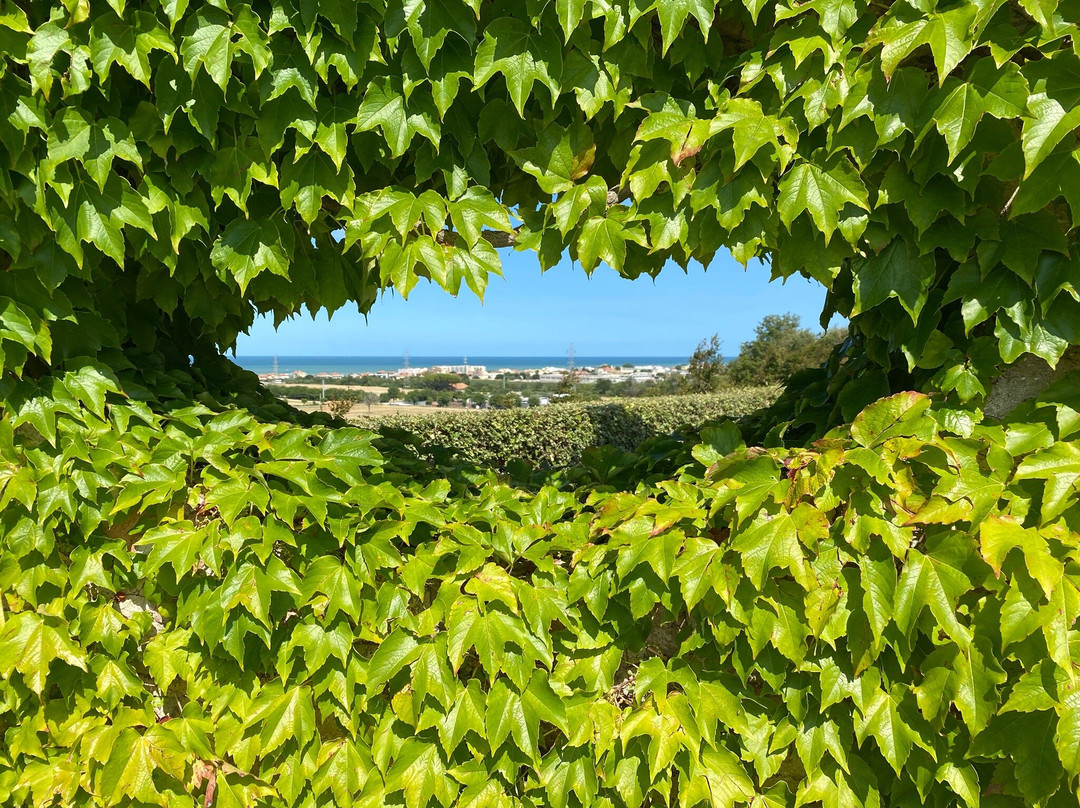 B&B La Parisienne主图