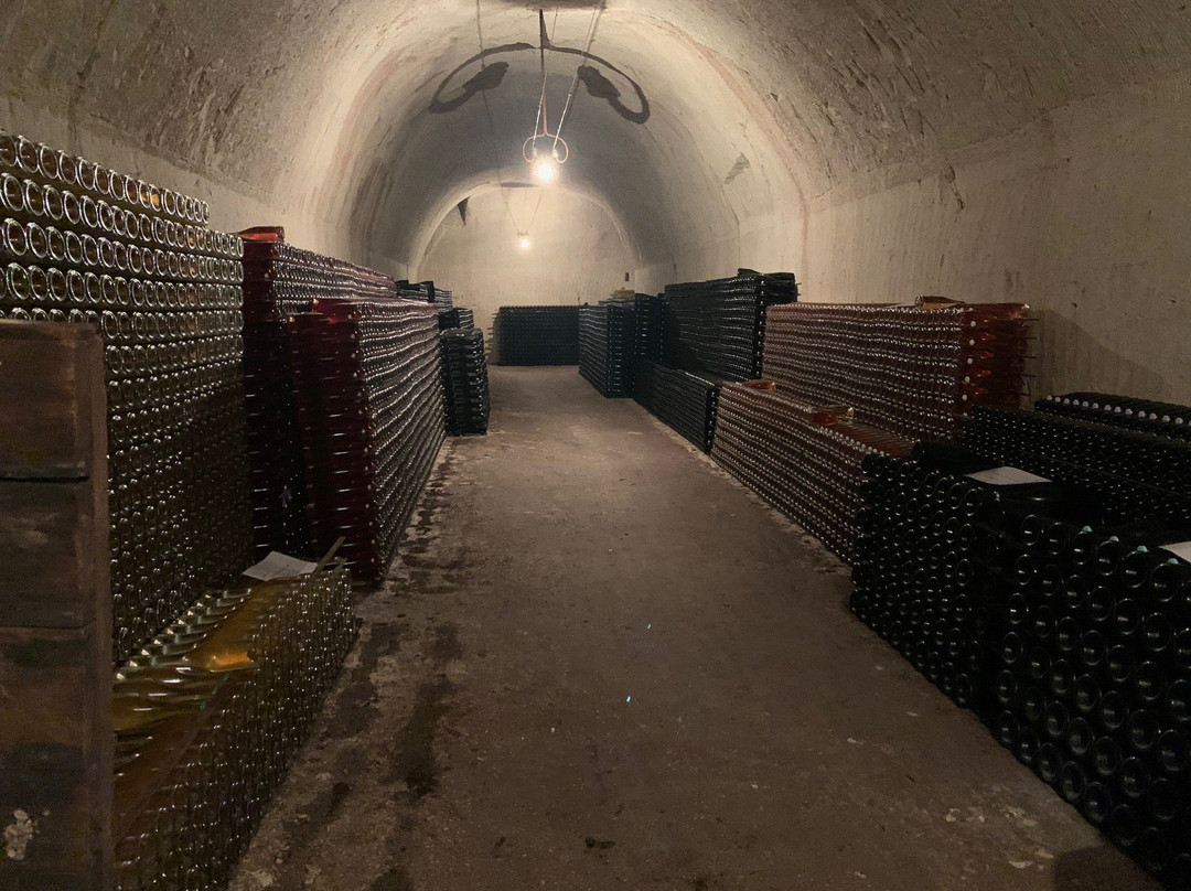Champagne Jacquinot & Fils景点图片