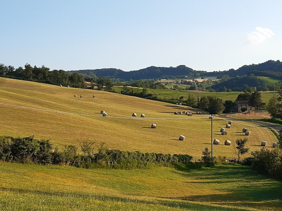 Agriturismo Antica Torre主图