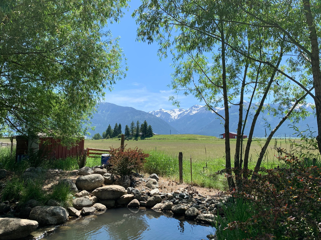 Mountain View Motel & Rv Park主图