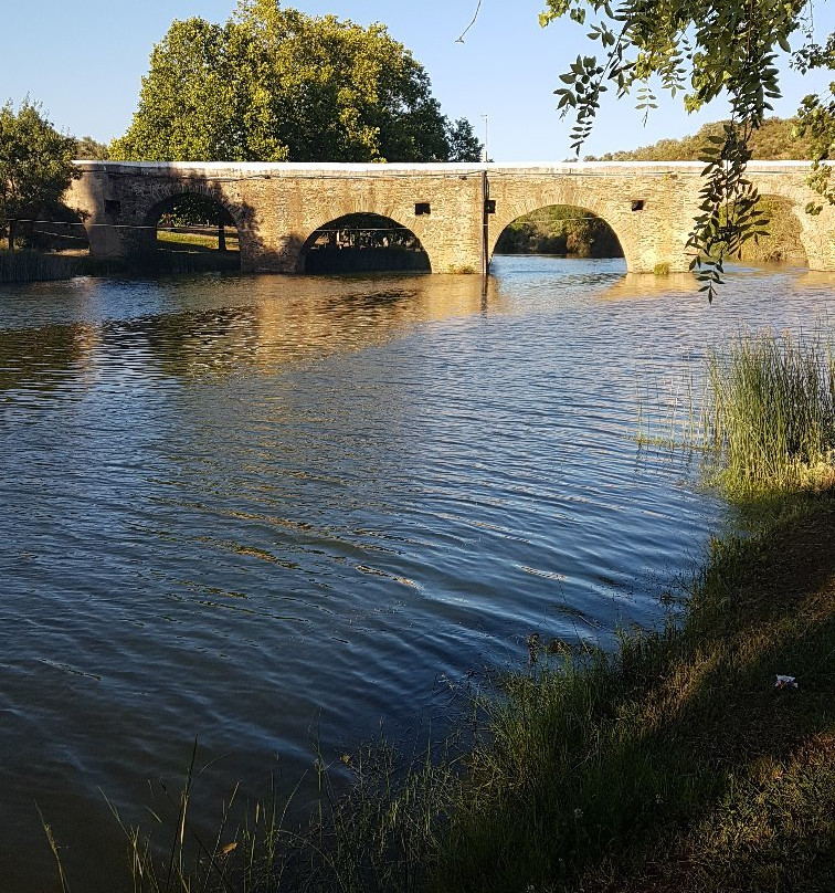 Praia Fluvial da Ponte景点图片