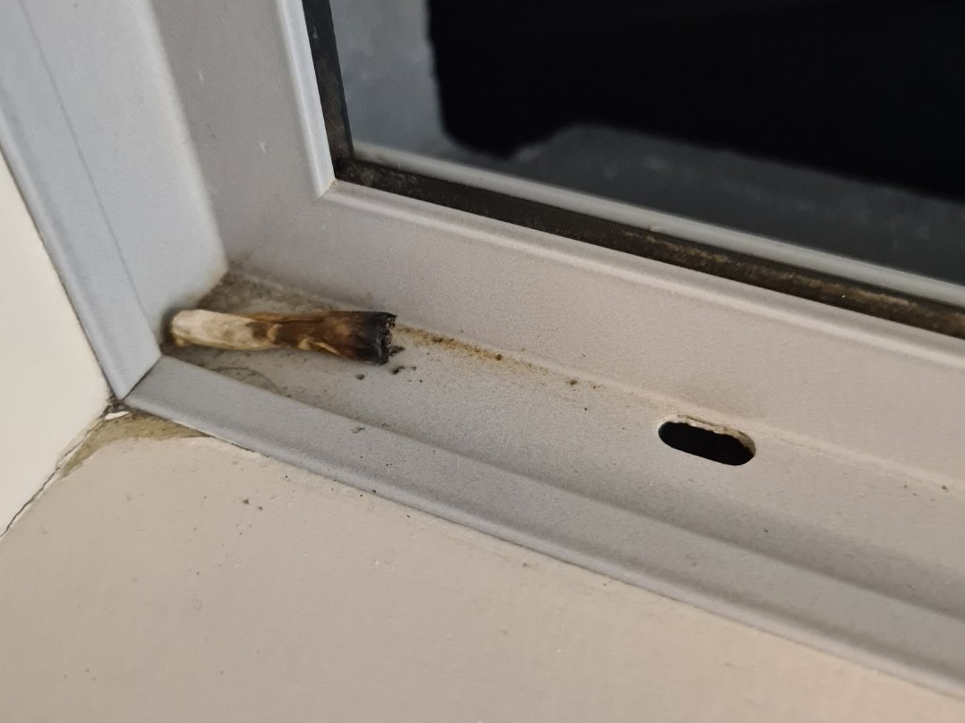 艾蒂姆阿尔斯特酒店主图