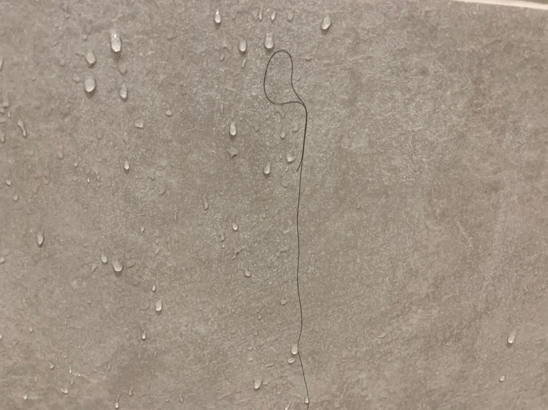 Residence Inn St. Cloud Waite Park主图