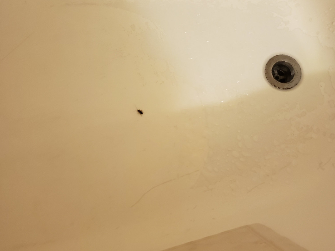 Motel 6 Atlanta Northwest - Marietta主图