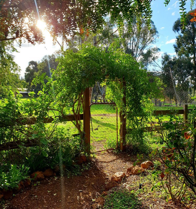 Whispering Pines B&B主图