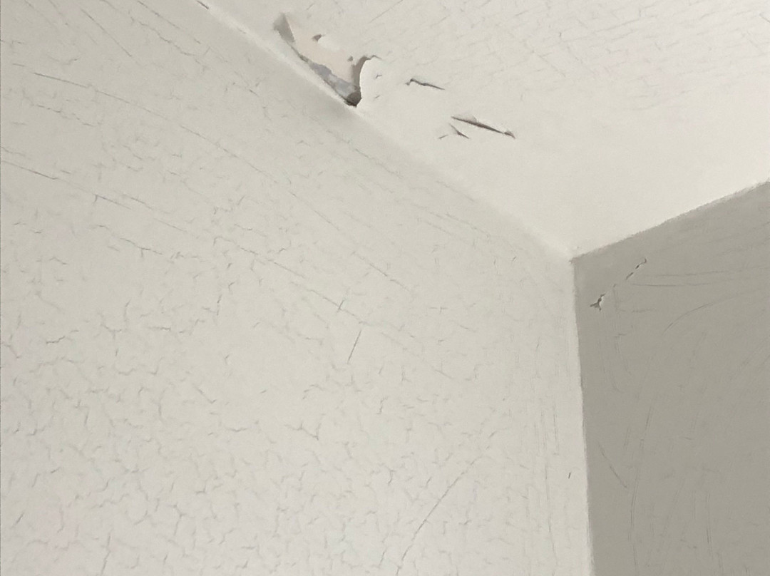 La Truffe Noire主图