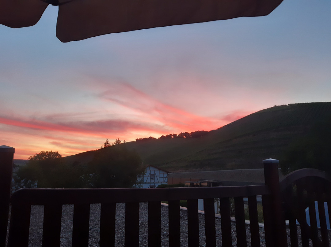 Weingut Sonnenberg-巴特诺因阿尔－阿尔韦勒必去景点