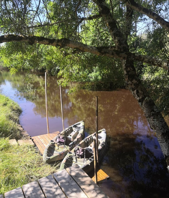 Medoc Explorer Canoe景点图片