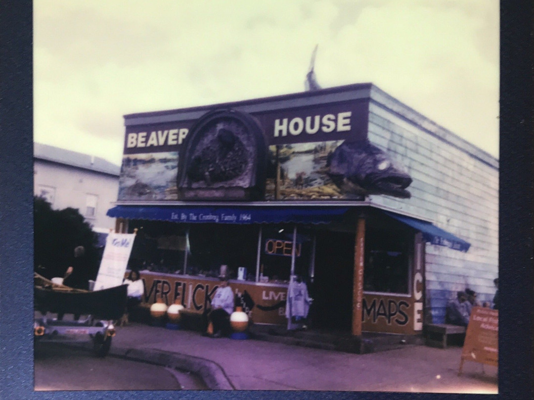 Beaver House-大马雷必去景点