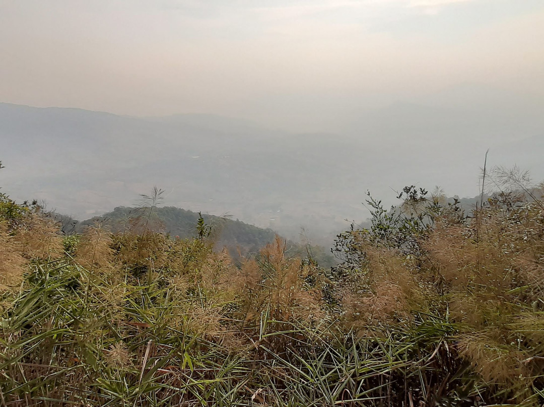 Phu Ruea National Park景点图片