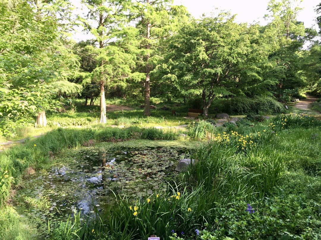 Kicheongsan Botanical Gardens-浦项市必去景点