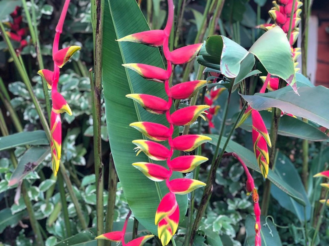 High Court View Hotel主图