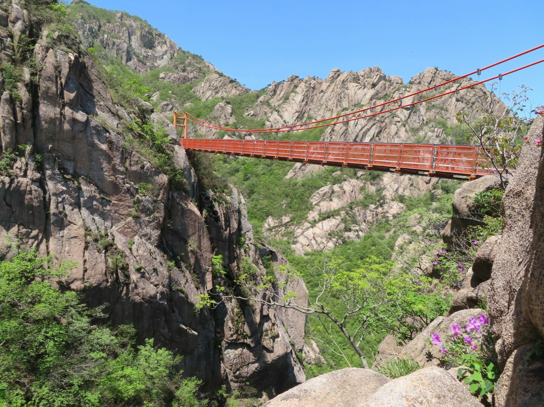 Wolchulsan National Park-灵岩郡必去景点