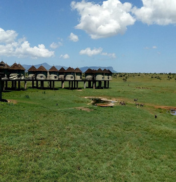 Ekea Safaris-迪亚尼必去景点