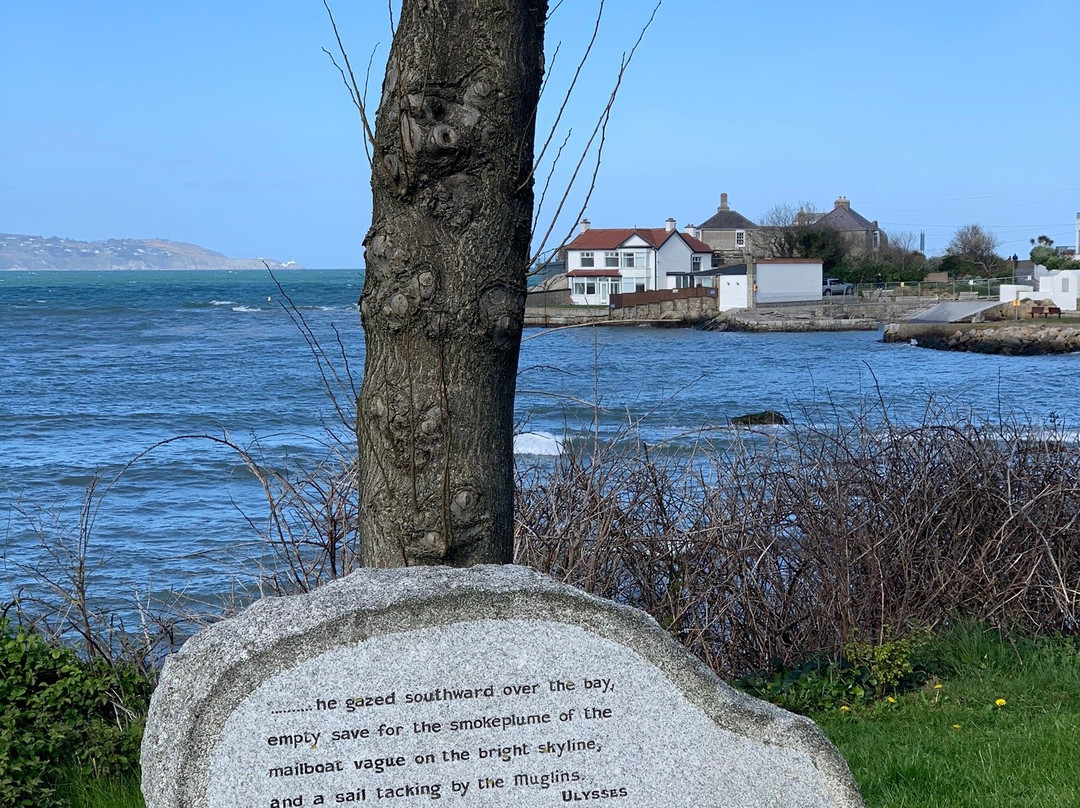 James Joyce Centenary Tree